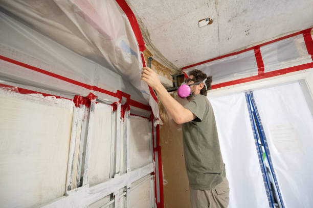 Best Mold Damage Restoration  in Hooper, UT