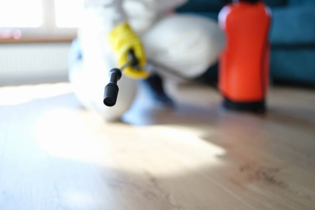 Best Mold Removal for HVAC Installations  in Hooper, UT