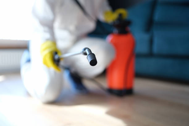 Best Industrial Mold Remediation  in Hooper, UT
