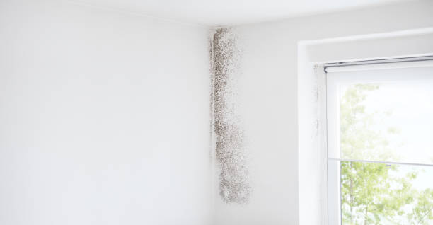 Best Indoor Air Quality Assessment  in Hooper, UT