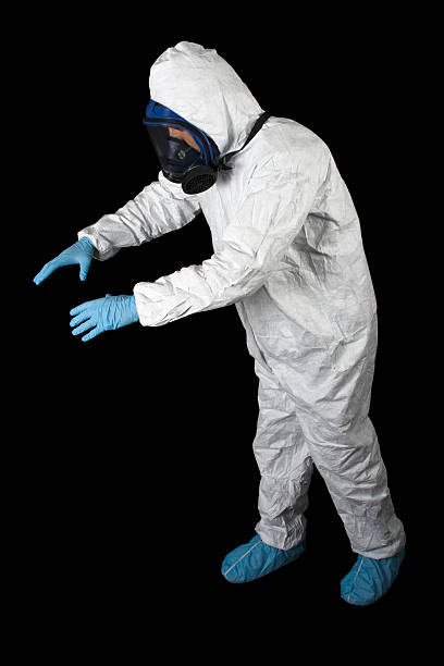Best Mold Documentation for Insurance Claims  in Hooper, UT
