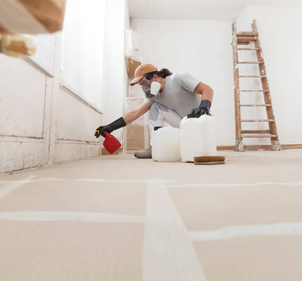 Best Post-Construction Mold Inspection  in Hooper, UT
